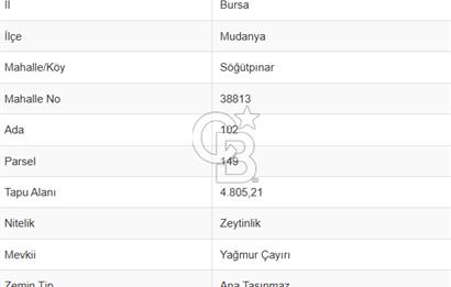 MUDANYA SÖĞÜTPINAR'DA YATIRIMLIK TARLA