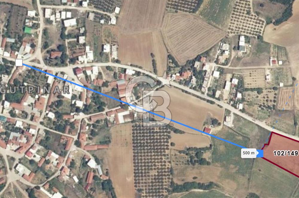 MUDANYA SÖĞÜTPINAR'DA YATIRIMLIK TARLA