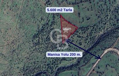 Karakuzu'da Manisa Yoluna 200 m.- 5.600 m2 Satılık Tarla