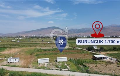 Türkelli'de Tapulu-R.Taksimli-Verimli 314 m2 Hobi Bahçesi