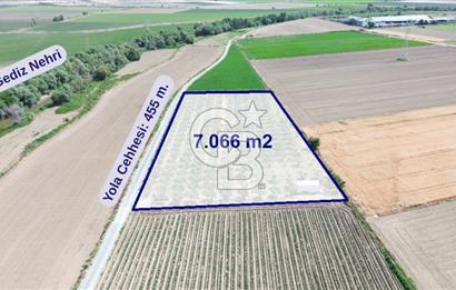 Türkelli'de 250 Zeytin+40 Meyve Ağaçlı 7066 m2 Satılık Zeytinlik