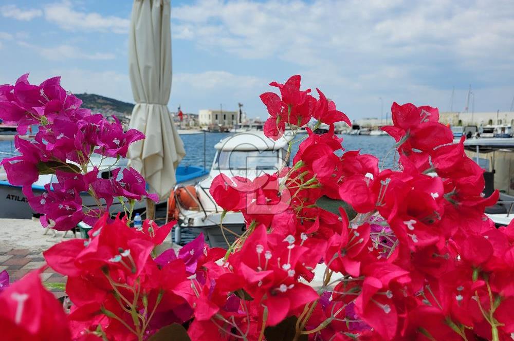 Yenifoça Merkezde Satılık Villa