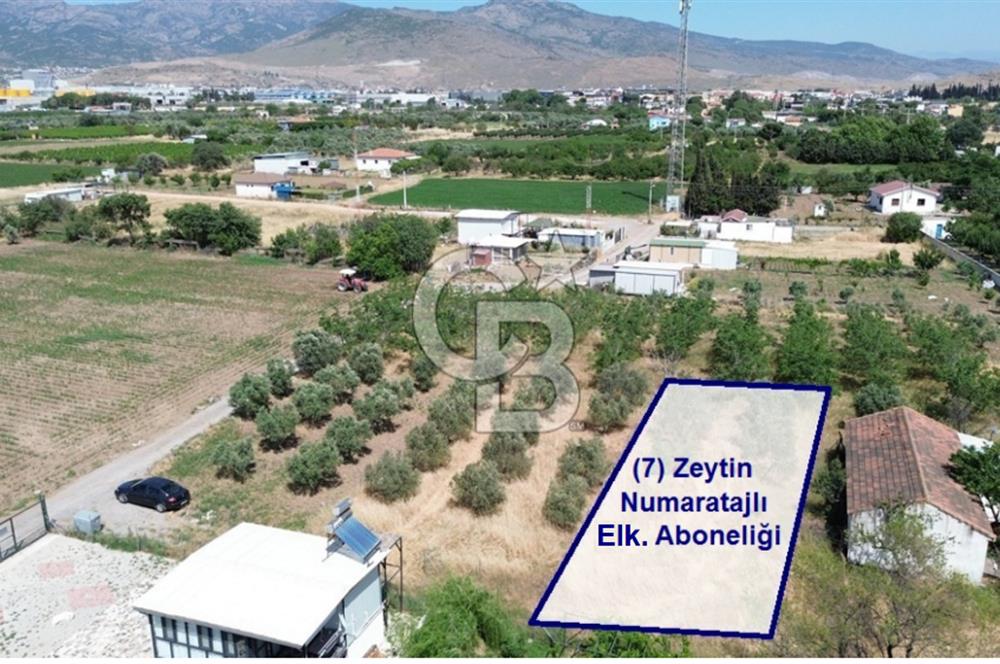 NOVADA AVM Karşısı Numarataj+Elektrik Hazır 373 m2 Hobi Bahçesi