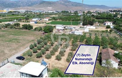 NOVADA AVM Karşısı Numarataj+Elektrik Hazır 373 m2 Hobi Bahçesi