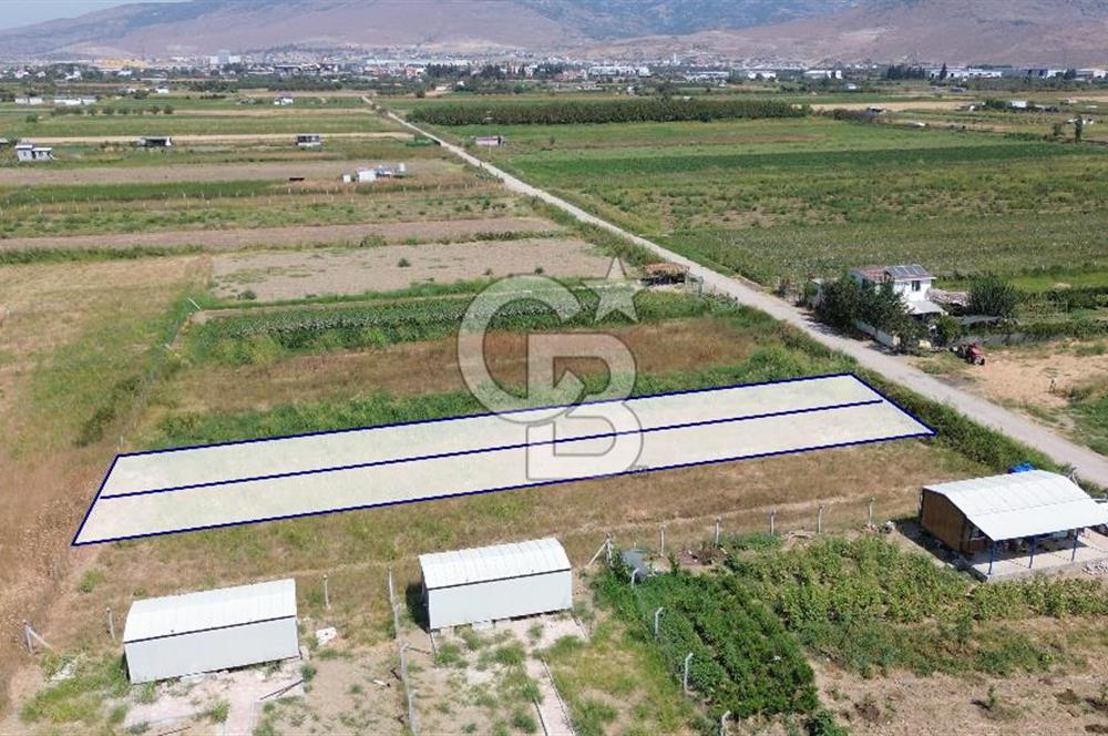 Türkelli'de Tapulu-R.Taksimli-Verimli 314 m2 Hobi Bahçesi