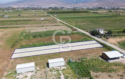 Türkelli'de Tapulu-R.Taksimli-Verimli 314 m2 Hobi Bahçesi