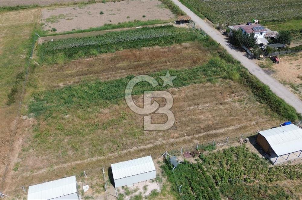 Türkelli'de Tapulu-R.Taksimli-Verimli 314 m2 Hobi Bahçesi