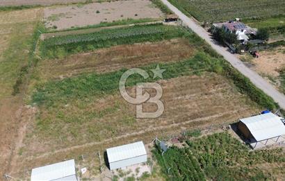Türkelli'de Tapulu-R.Taksimli-Verimli 314 m2 Hobi Bahçesi