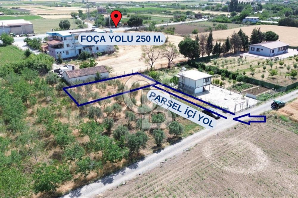 NOVADA AVM Karşısı Numarataj+Elektrik Hazır 373 m2 Hobi Bahçesi