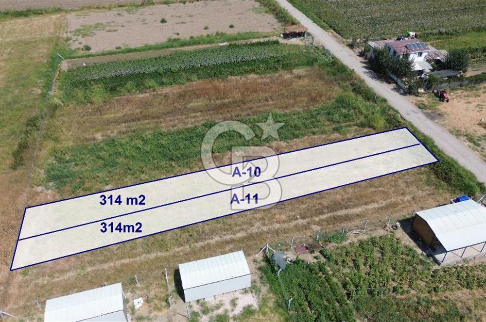 Türkelli'de Tapulu-R.Taksimli-Verimli 314 m2 Hobi Bahçesi
