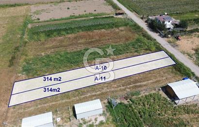Türkelli'de Tapulu-R.Taksimli-Verimli 314 m2 Hobi Bahçesi