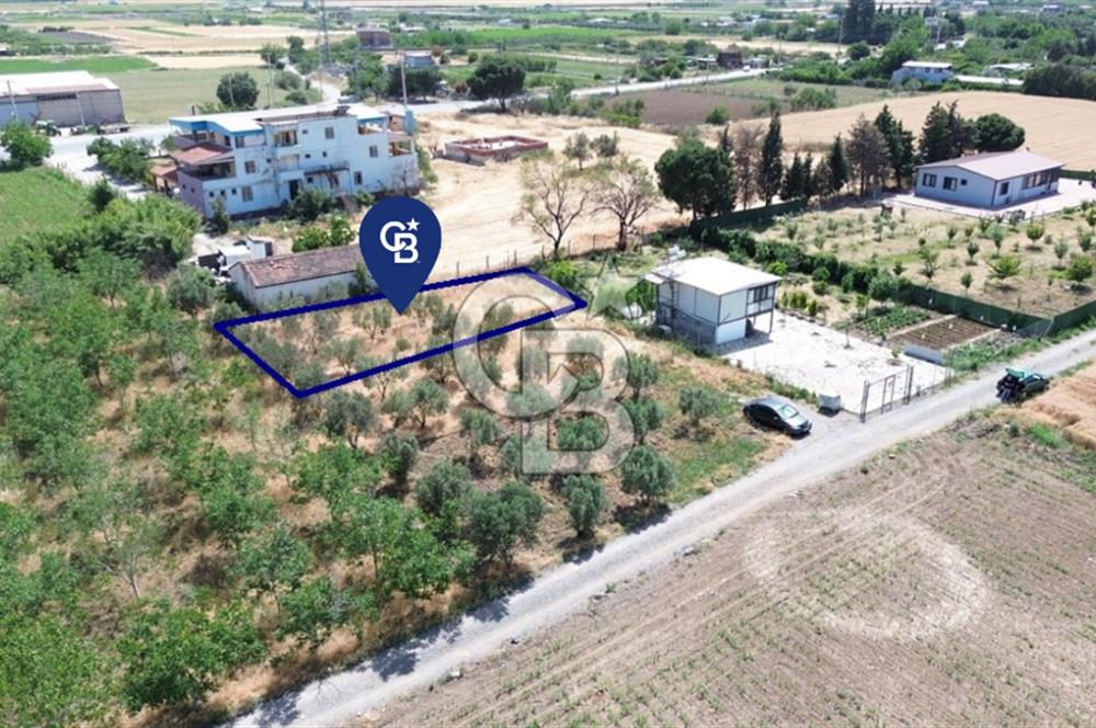 NOVADA AVM Karşısı Numarataj+Elektrik Hazır 373 m2 Hobi Bahçesi