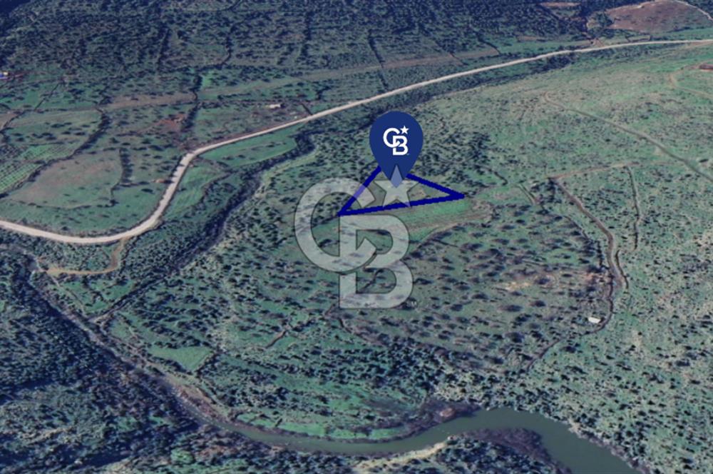 Karakuzu'da Manisa Yoluna 200 m.- 5.600 m2 Satılık Tarla