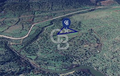 Karakuzu'da Manisa Yoluna 200 m.- 5.600 m2 Satılık Tarla