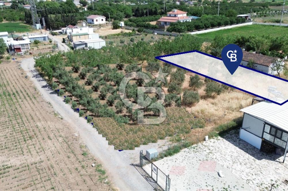 NOVADA AVM Karşısı Numarataj+Elektrik Hazır 373 m2 Hobi Bahçesi