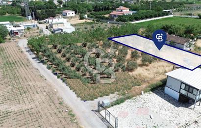 NOVADA AVM Karşısı Numarataj+Elektrik Hazır 373 m2 Hobi Bahçesi