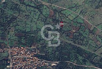 Karakuzu'da Zeytin ve Fıstık Ağaçlı 2278 m2 Satılık Tarla