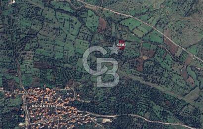 Karakuzu'da Zeytin ve Fıstık Ağaçlı 2278 m2 Satılık Tarla