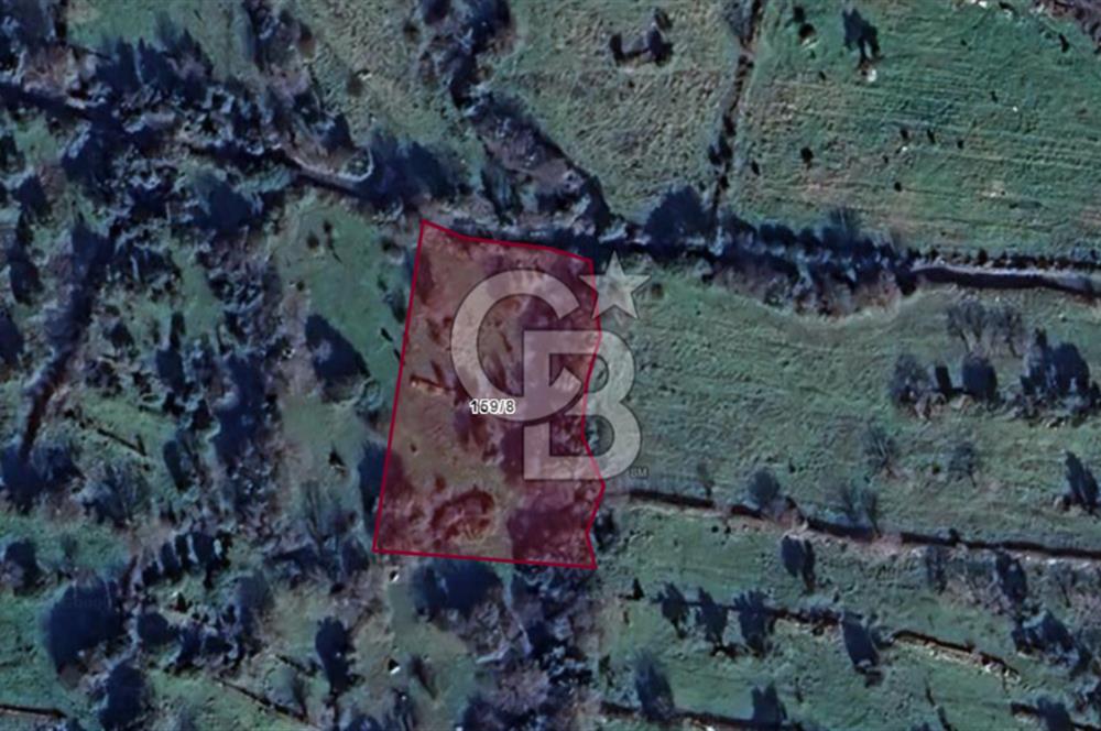 Karakuzu'da Zeytin ve Fıstık Ağaçlı 2278 m2 Satılık Tarla