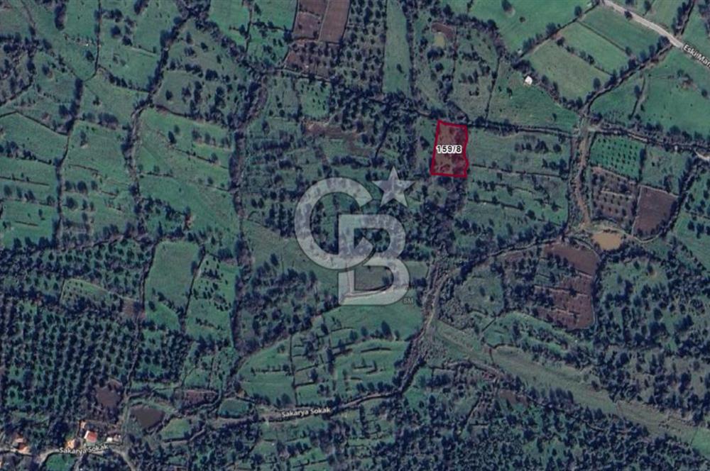 Karakuzu'da Zeytin ve Fıstık Ağaçlı 2278 m2 Satılık Tarla