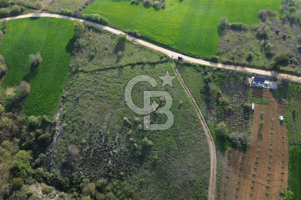 GÖLE SIFIR FIRSAT ARAZİ DETAYLARI AÇIKLAMADA