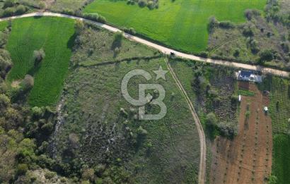GÖLE SIFIR FIRSAT ARAZİ DETAYLARI AÇIKLAMADA