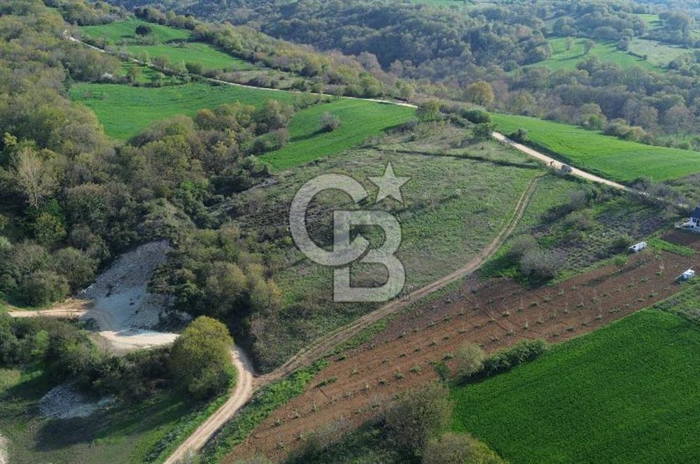 GÖLE SIFIR FIRSAT ARAZİ DETAYLARI AÇIKLAMADA