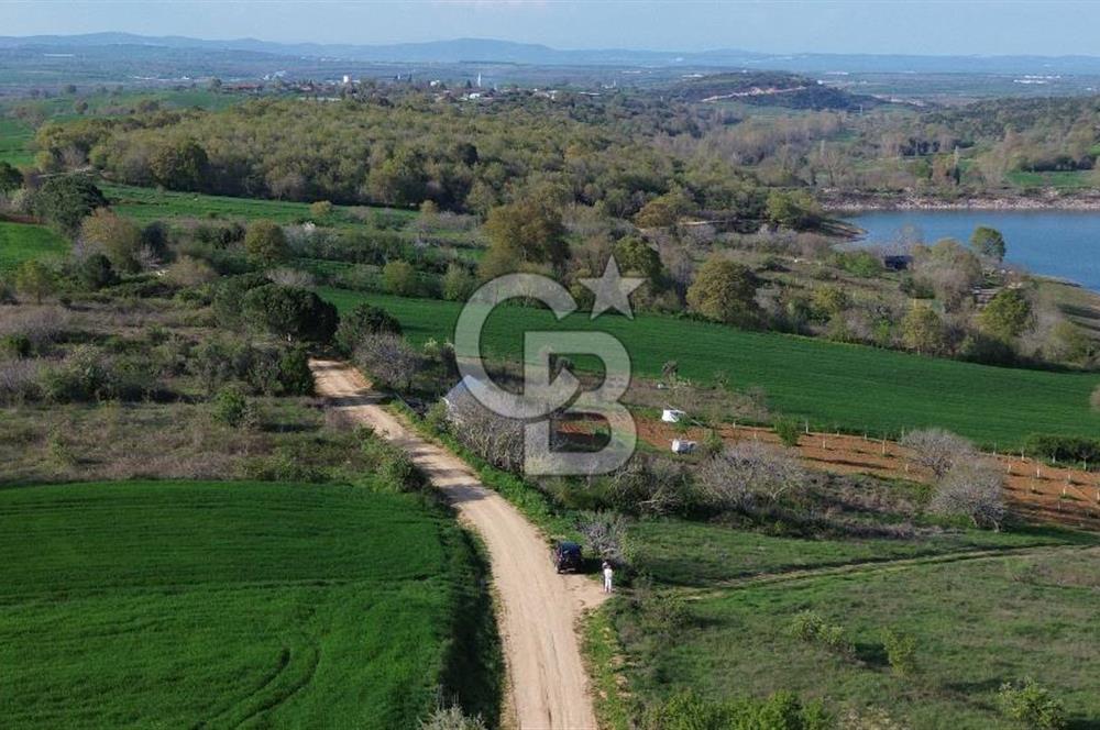 GÖLE SIFIR FIRSAT ARAZİ DETAYLARI AÇIKLAMADA