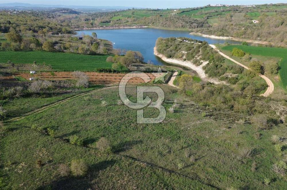 GÖLE SIFIR FIRSAT ARAZİ DETAYLARI AÇIKLAMADA