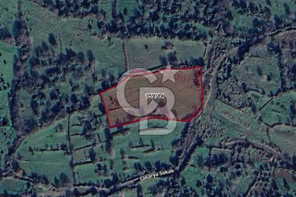 Karakuzu'ya 400 m. Yolu Olan 6568 m2 Satılık Tarla