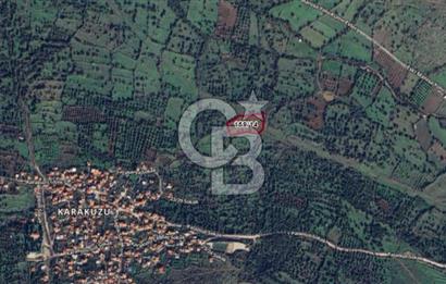 Karakuzu'ya 400 m. Yolu Olan 6568 m2 Satılık Tarla