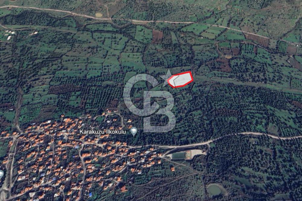 Karakuzu'ya 400 m. Yolu Olan 6568 m2 Satılık Tarla