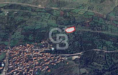 Karakuzu'ya 400 m. Yolu Olan 6568 m2 Satılık Tarla
