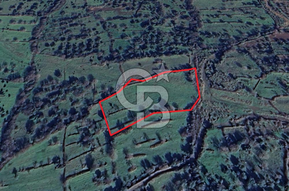 Karakuzu'ya 400 m. Yolu Olan 6568 m2 Satılık Tarla