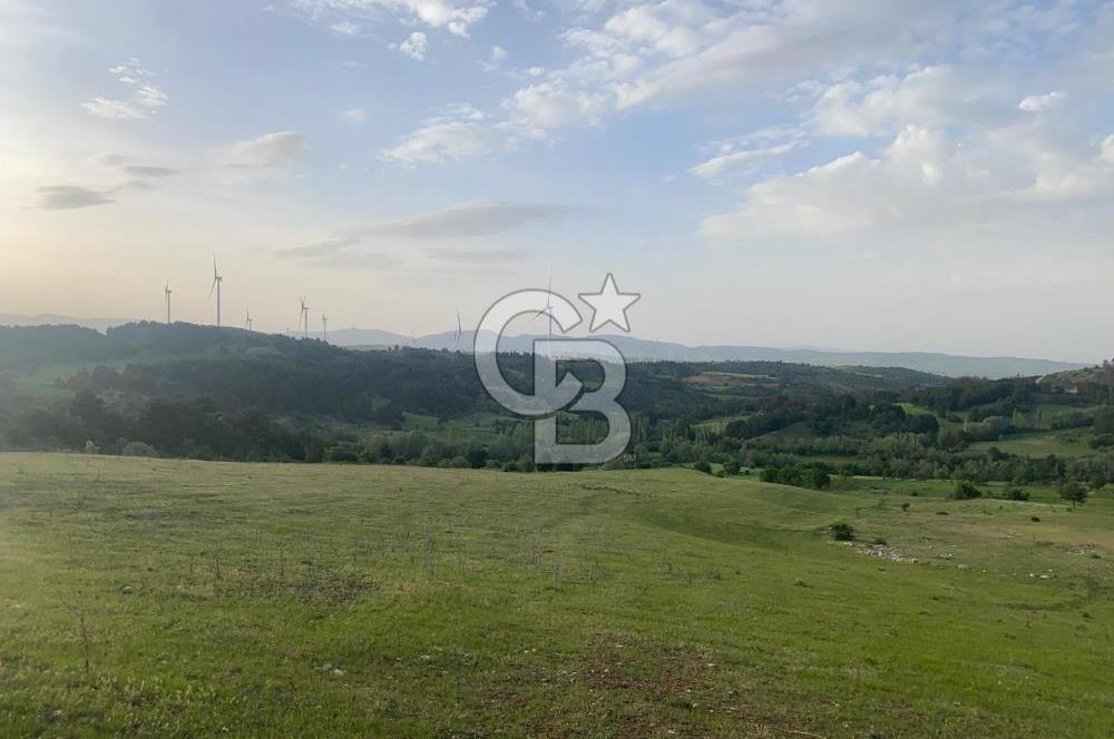 UŞAKTA YATIRIMLIK 20 DÖNÜM TARLA