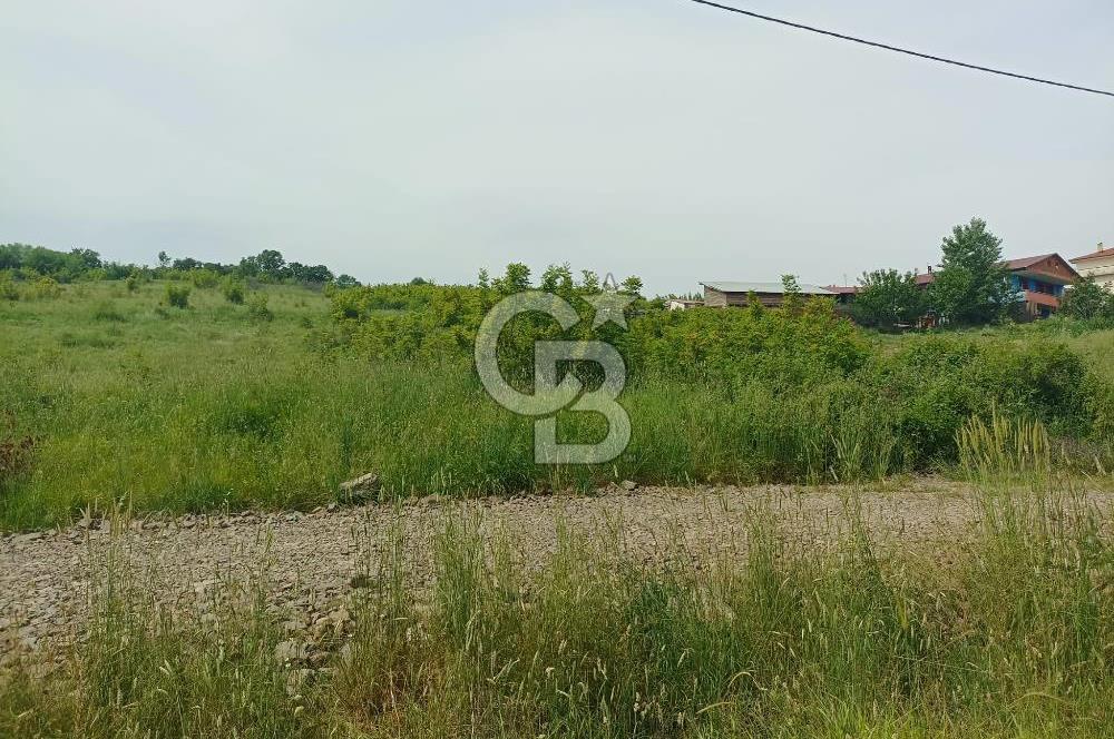 YALOVA KAZIMİYE'DE 3 KAT İMARLI SATILIK FIRSAT ARSA