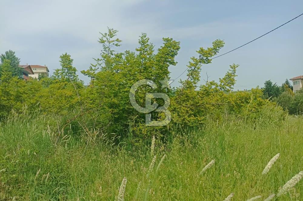 YALOVA KAZIMİYE'DE 3 KAT İMARLI SATILIK FIRSAT ARSA
