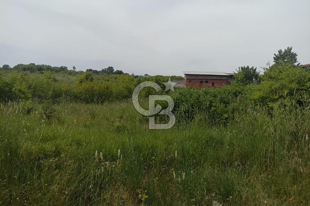YALOVA KAZIMİYE'DE 3 KAT İMARLI SATILIK FIRSAT ARSA