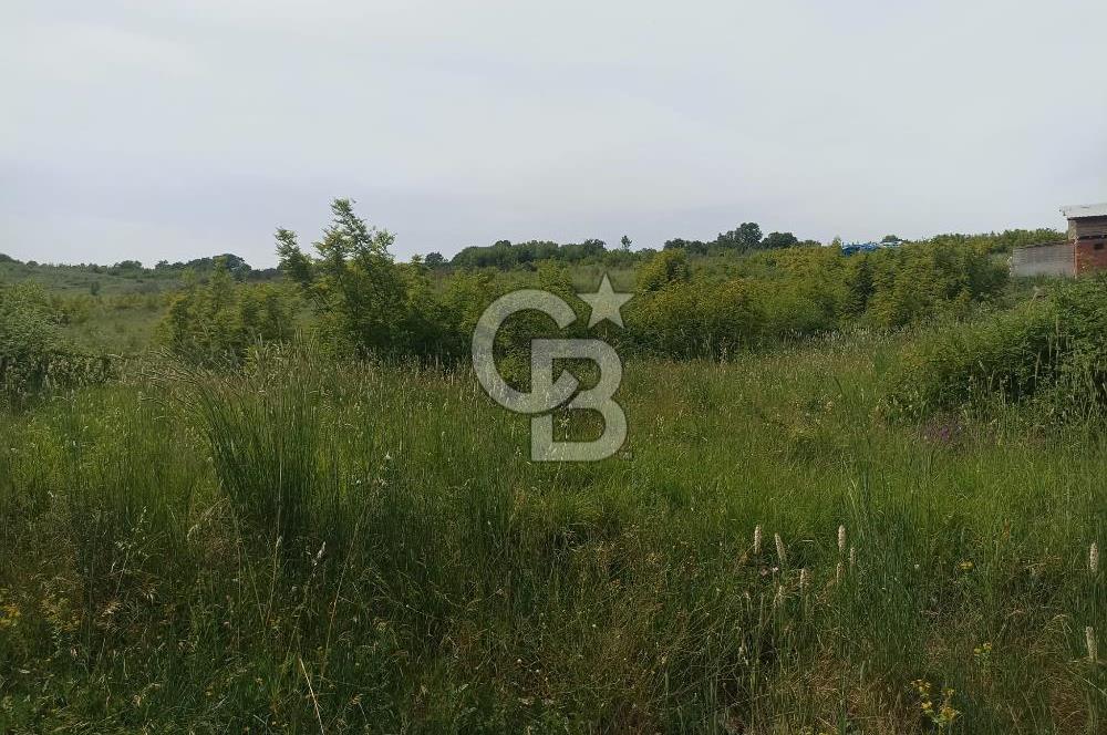 YALOVA KAZIMİYE'DE 3 KAT İMARLI SATILIK FIRSAT ARSA