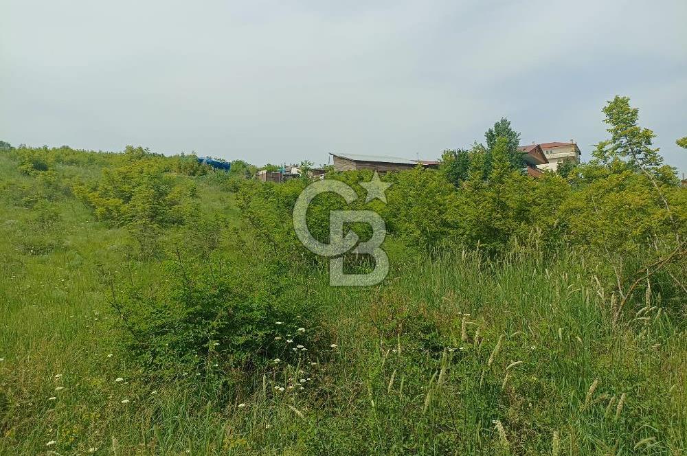 YALOVA KAZIMİYE'DE 3 KAT İMARLI SATILIK FIRSAT ARSA