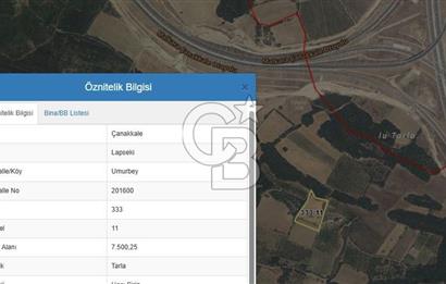 ÇANAKKALE UMURBEY OTOBAN YANINDA BOĞAZ MANZARALI SATILIK TARLA