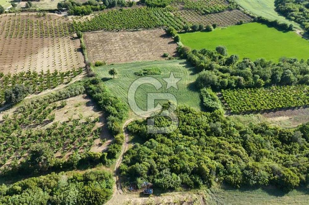 ÇANAKKALE UMURBEY OTOBAN YANINDA BOĞAZ MANZARALI SATILIK TARLA