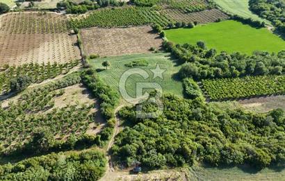 ÇANAKKALE UMURBEY OTOBAN YANINDA BOĞAZ MANZARALI SATILIK TARLA