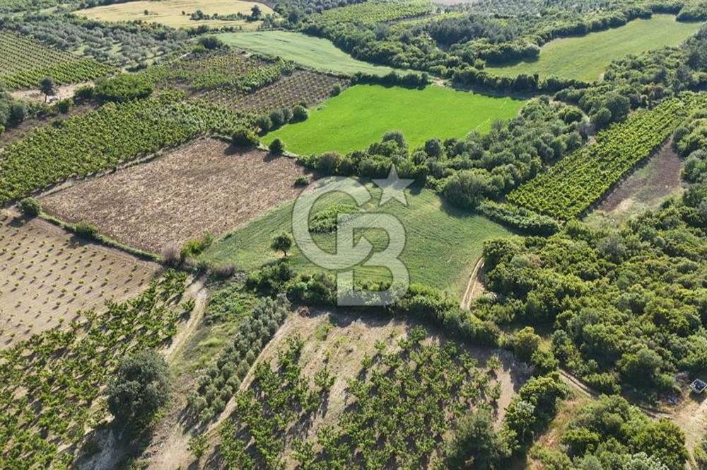 ÇANAKKALE UMURBEY OTOBAN YANINDA BOĞAZ MANZARALI SATILIK TARLA