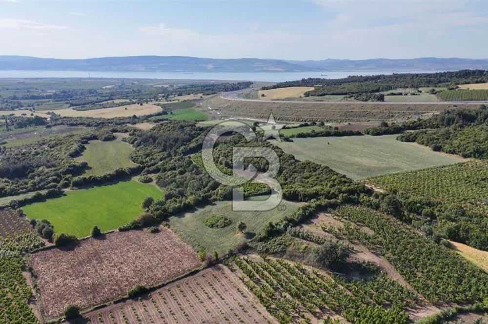 ÇANAKKALE UMURBEY OTOBAN YANINDA BOĞAZ MANZARALI SATILIK TARLA