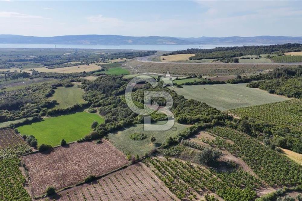 ÇANAKKALE UMURBEY OTOBAN YANINDA BOĞAZ MANZARALI SATILIK TARLA