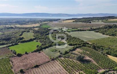 ÇANAKKALE UMURBEY OTOBAN YANINDA BOĞAZ MANZARALI SATILIK TARLA