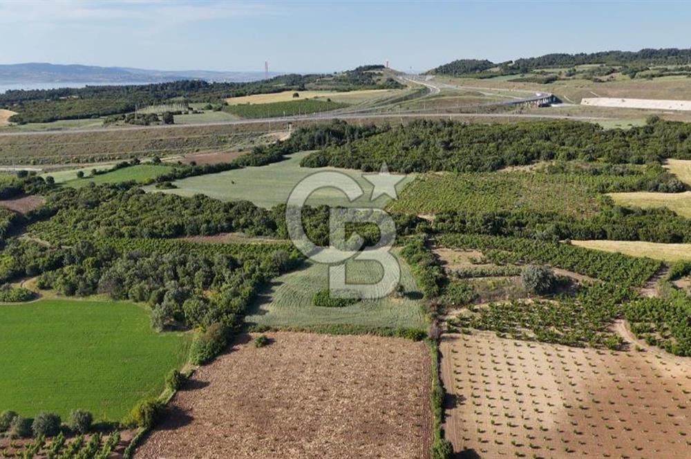 ÇANAKKALE UMURBEY OTOBAN YANINDA BOĞAZ MANZARALI SATILIK TARLA