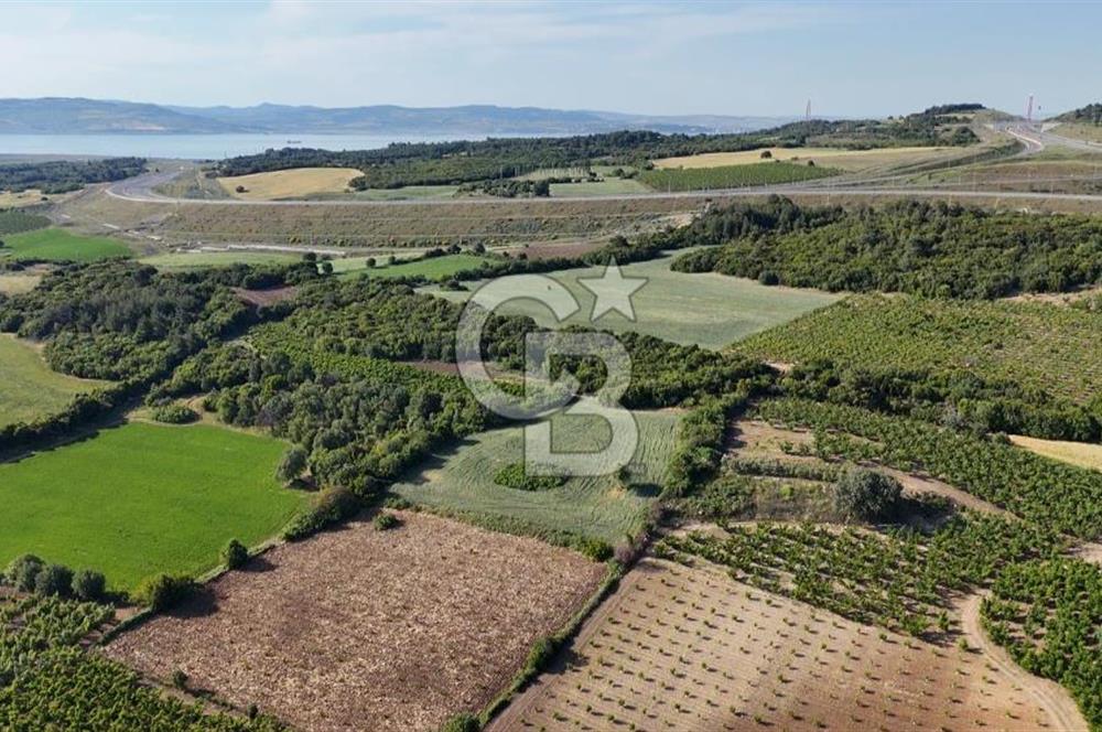 ÇANAKKALE UMURBEY OTOBAN YANINDA BOĞAZ MANZARALI SATILIK TARLA