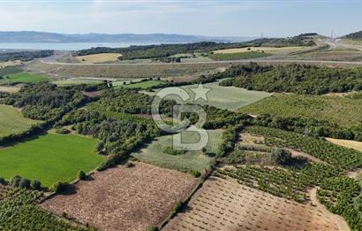 ÇANAKKALE UMURBEY OTOBAN YANINDA BOĞAZ MANZARALI SATILIK TARLA